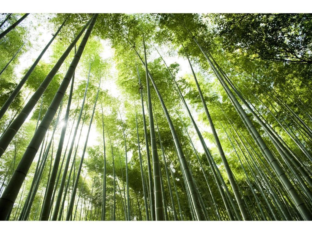 Ranzan Otel Kyoto Dış mekan fotoğraf